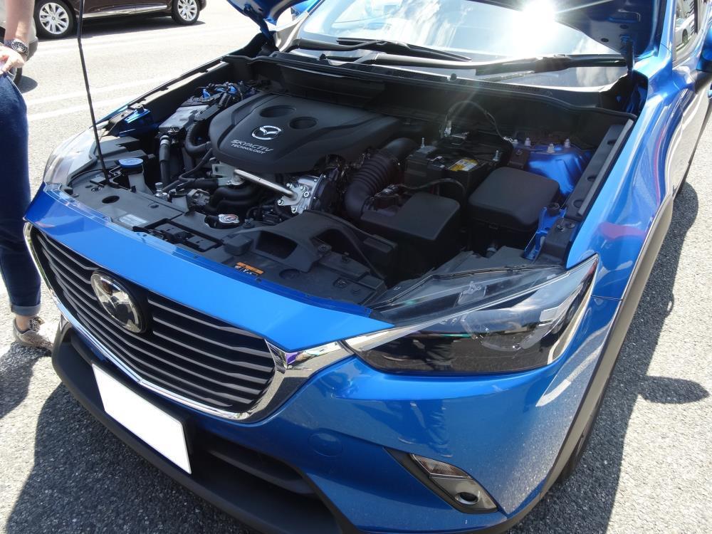 DSC00574 - コピー.JPG